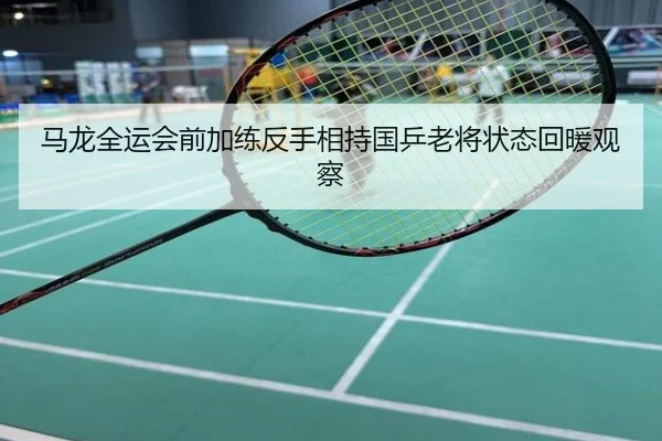 马龙全运会前加练反手相持国乒老将状态回暖观察