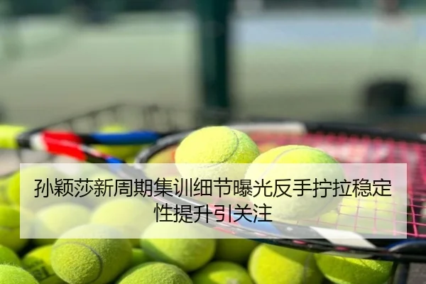 孙颖莎新周期集训细节曝光反手拧拉稳定性提升引关注
