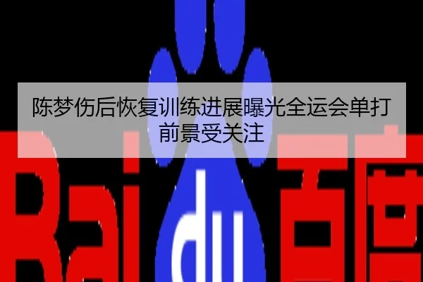 陈梦伤后恢复训练进展曝光全运会单打前景受关注