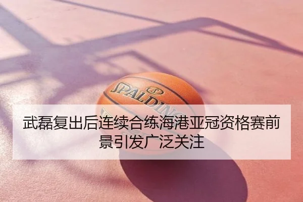 武磊复出后连续合练海港亚冠资格赛前景引发广泛关注